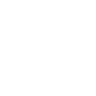 Guided Owl